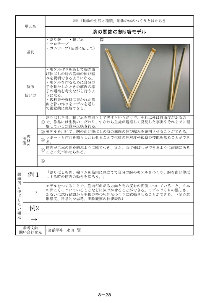 腕の関節の割り箸モデル