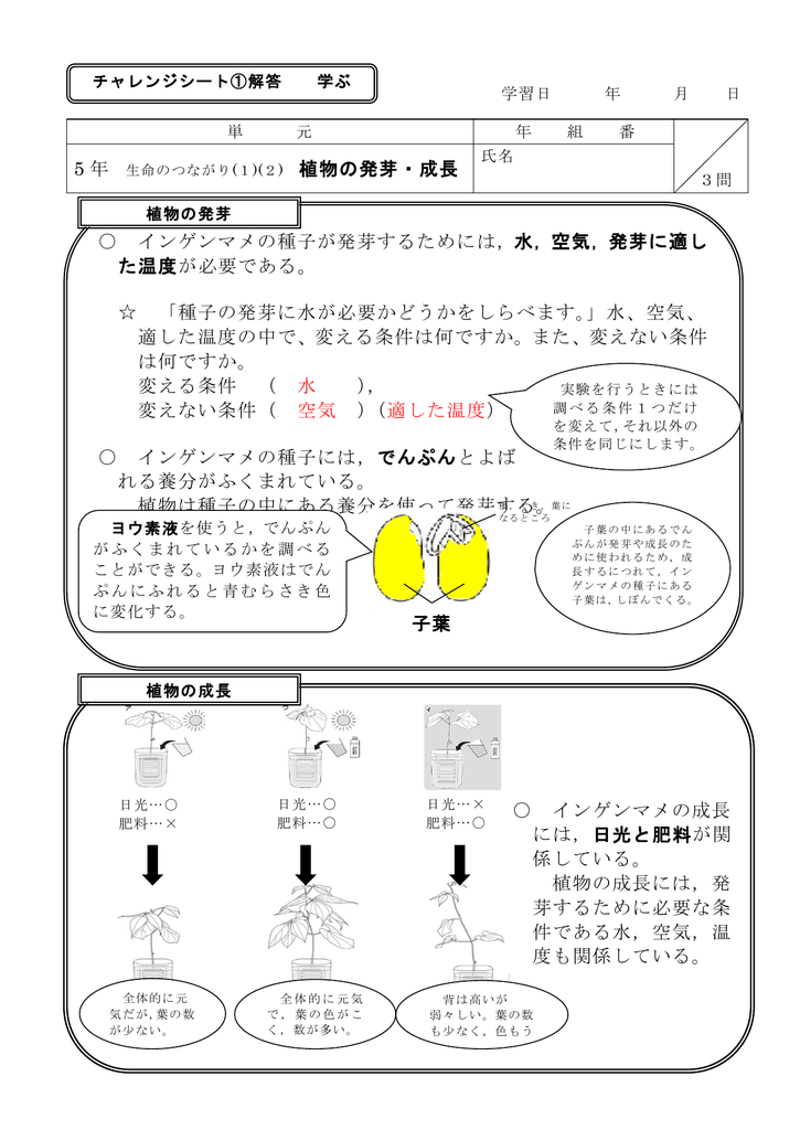 インゲンマメの種子が発芽するためには 水 空気 発芽に適し た温度が